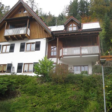 Urlaub Mit Blick Auf Schiltachs Fachwerkhaeuser Dış mekan fotoğraf