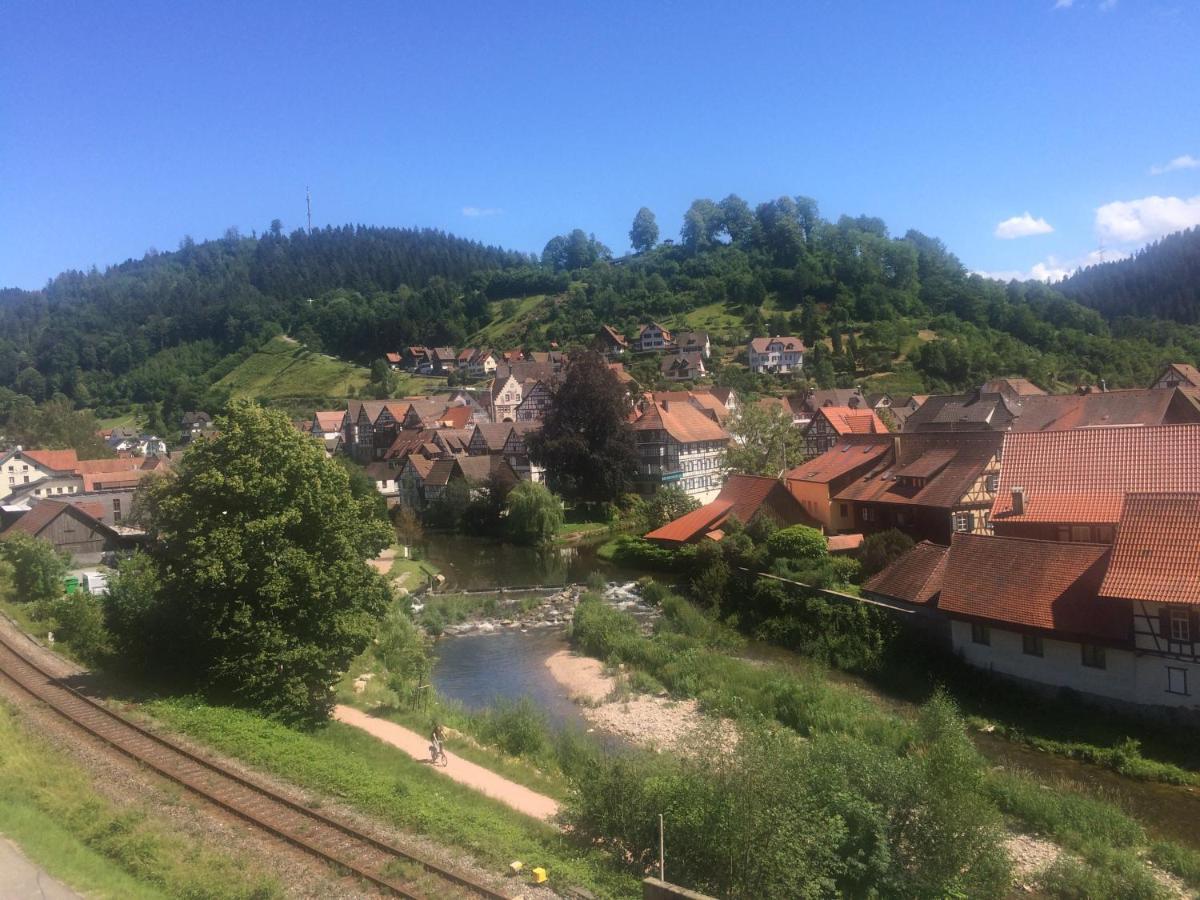 Urlaub Mit Blick Auf Schiltachs Fachwerkhaeuser Dış mekan fotoğraf