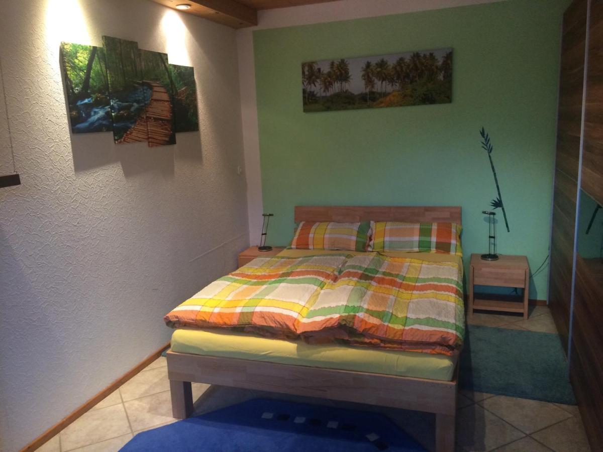 Urlaub Mit Blick Auf Schiltachs Fachwerkhaeuser Dış mekan fotoğraf