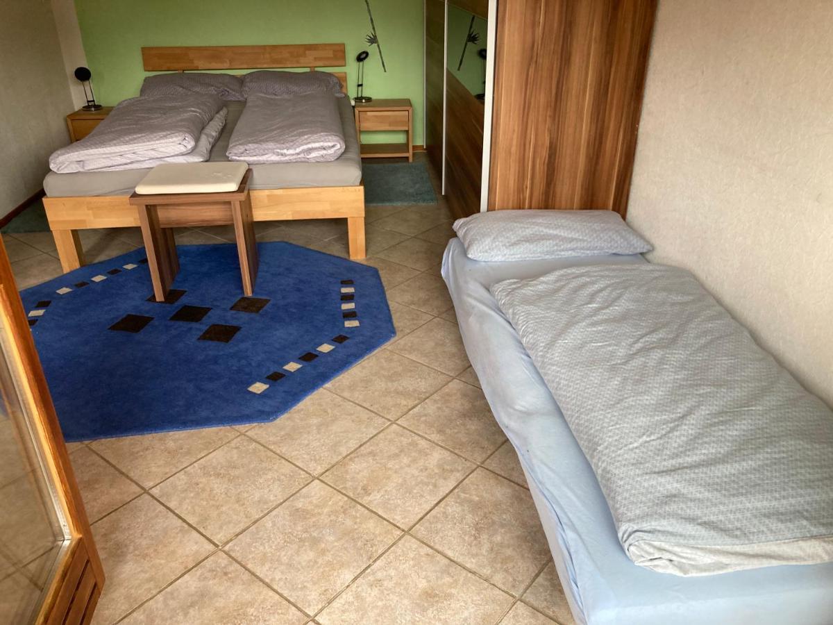 Urlaub Mit Blick Auf Schiltachs Fachwerkhaeuser Dış mekan fotoğraf